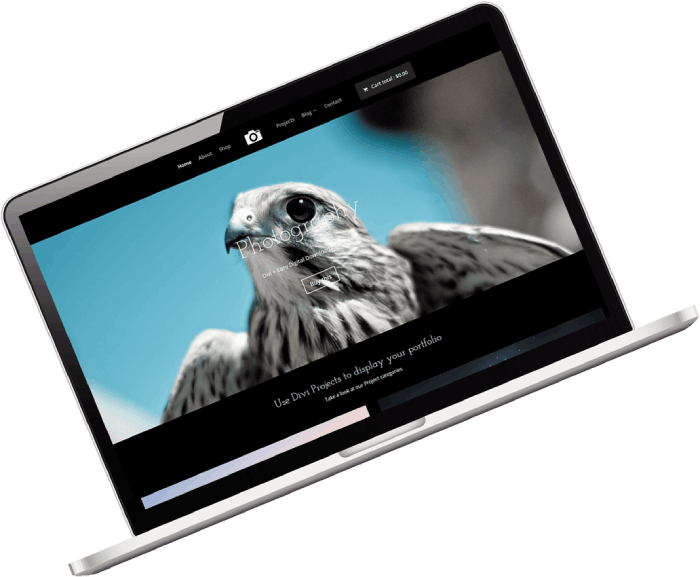 Instasite Themes you will love