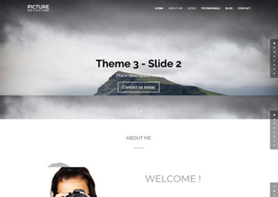 Theme 3